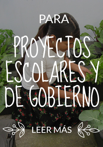 img-side-proyectos